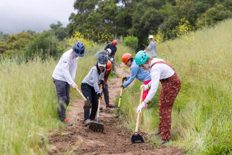 Group of volunteers on trail using tools