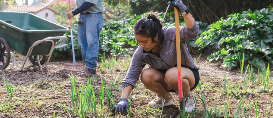 A volunteer tends the garden