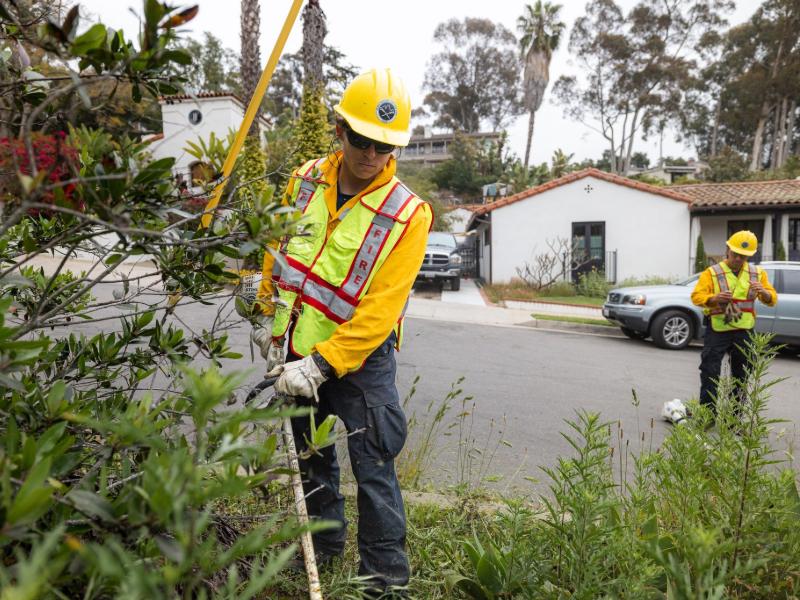 defensible space crew clearing brush.